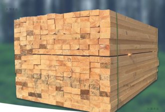 【广东建筑木方】案例分享-品质高的木方厂家