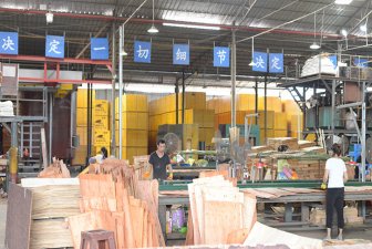 「广西南宁较大的木业公司」广西木业加工厂