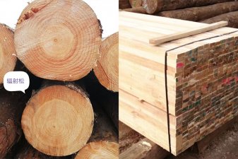 建筑木方价格多少钱一根?「木方价格」