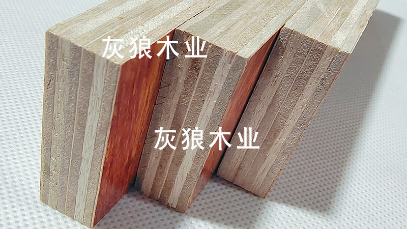 松木模板是什么?怎么肉眼区分松木模板和杨木模板?「知识普及」